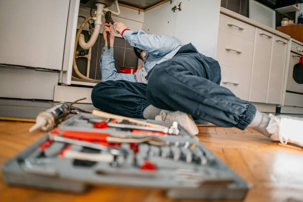 Best Local Plumber Services  in Helena West Helena, AR
